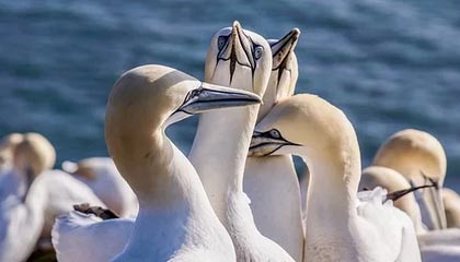 开云官网在线-校园篮球训练节奏是否与学习任务脱节，篮球运球节奏训练